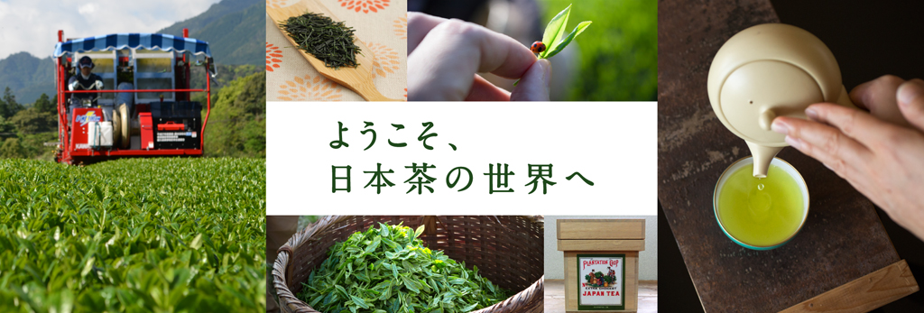 ようこそ、日本茶の世界へ